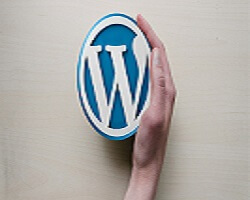 Einführungskurs in WordPress